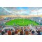 Naughton Park Stadium Fine Art Print - Widnes Vikings Rugby League